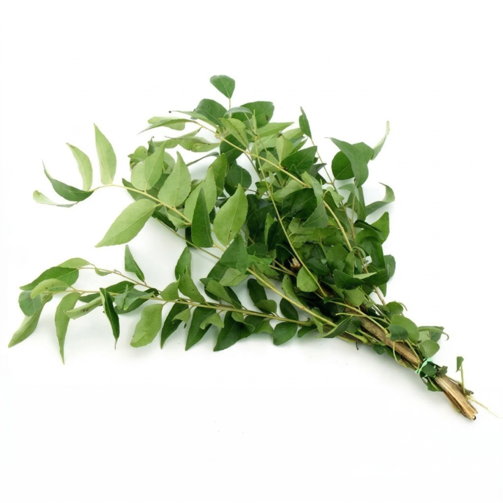 Fresh Curry Leaves 1 bag