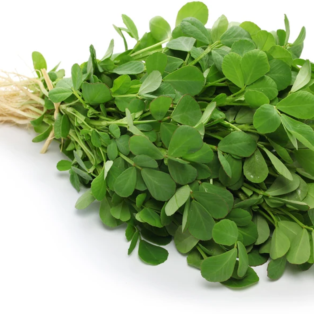 Green Fenugreek Methi Leaves 1 bundle