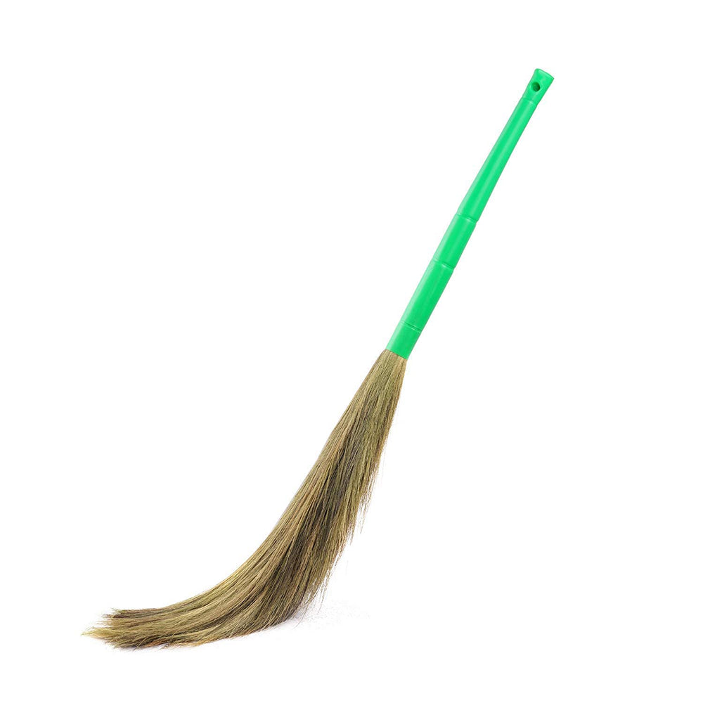 Indian Broom