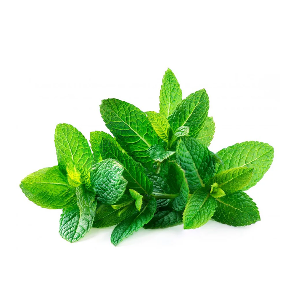 Mint leaves