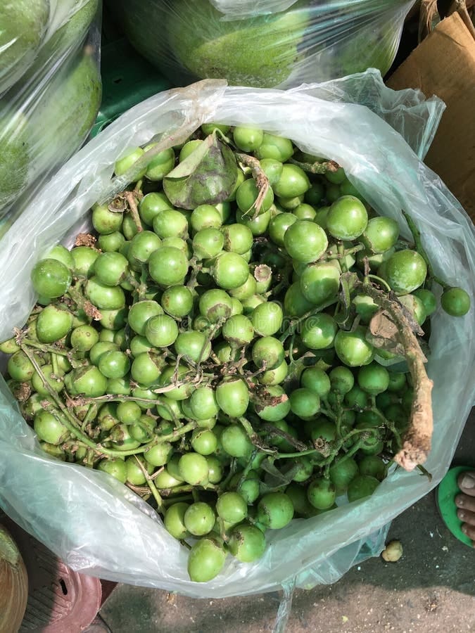 Gunda 100gm