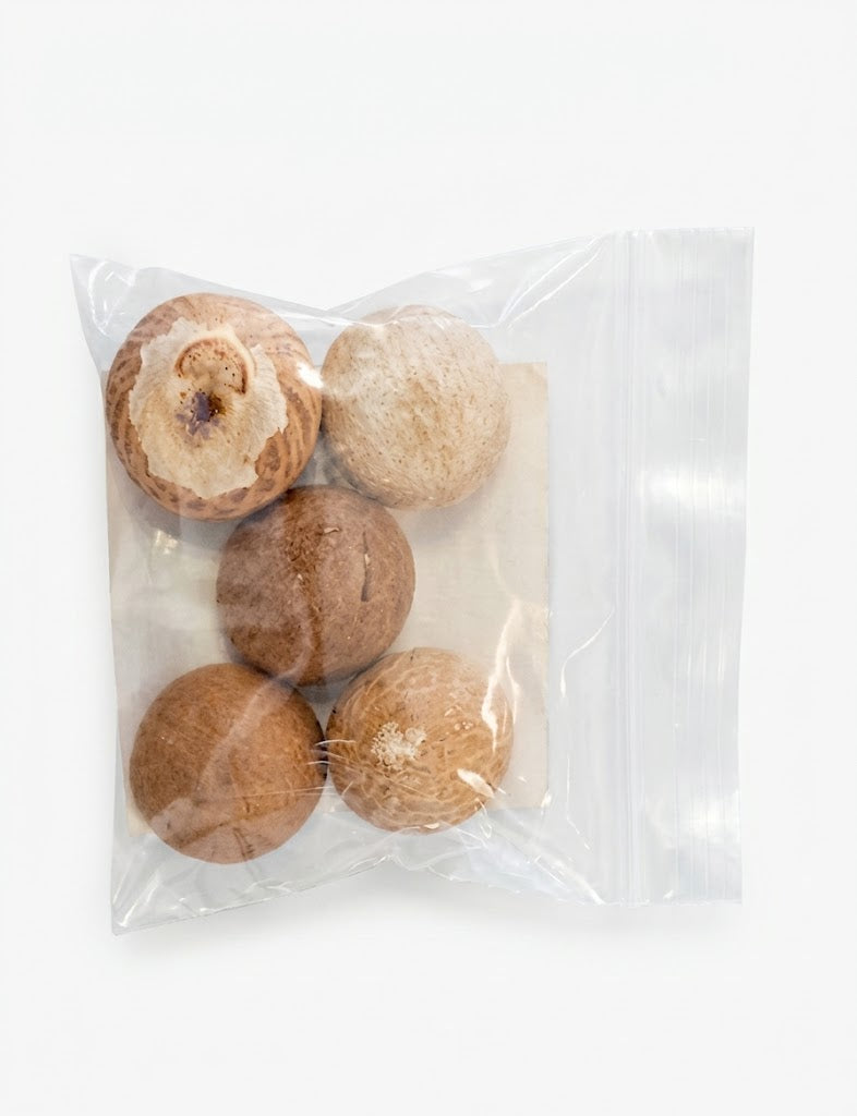 Betel nut (Supari)